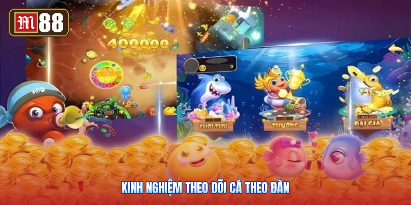 Kinh Nghiệm Theo Dõi Cá Theo Đàn