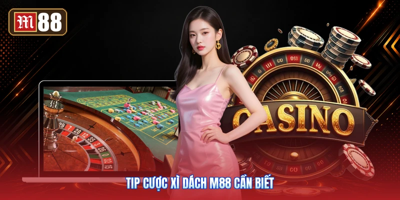 Tip Cược Xì Dách M88 Cần Biết